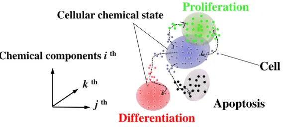 Figure 1. Schematic representation of cellular chemical states and pathways in the  cell fate decision 