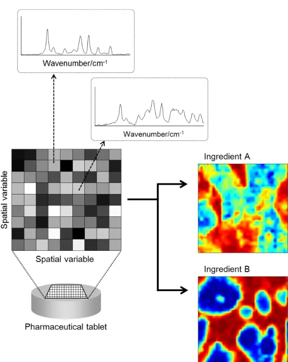 Figure 2  Schematic of NIR imaging 