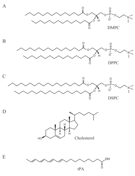 Figure 2.1: Chemical structures of (A) DMPC, (B) DPPC, (C) DSPC, (D) cholesterol and (F) tPA