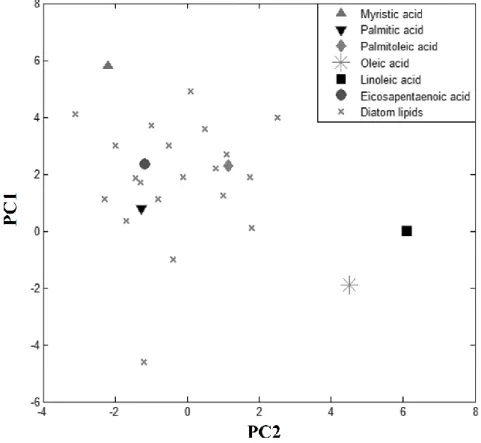 Figure 3. Score plot of PCA for diatom lipids and pure fatty acids. 