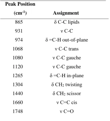 Table 1  Assignment of major bands. 