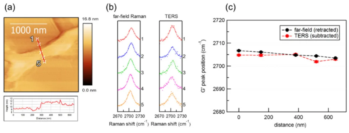 Figure 2  TERS measurement on step structure. (a) AFM topology image and line height profile