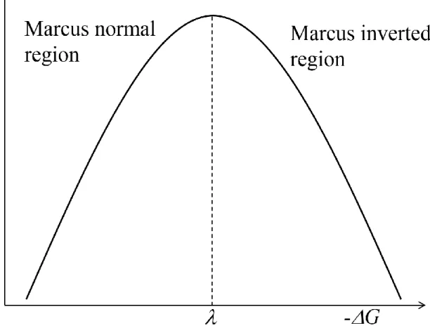 Figure 1.10 The energy gap dependence of electron transfer rates based on the Marcus theory