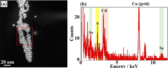 Figure 3.3 (a) STEM image of CdSe/CdS CSQDs A and (b) EDX data obtained at red square  region in Figure 3.3a