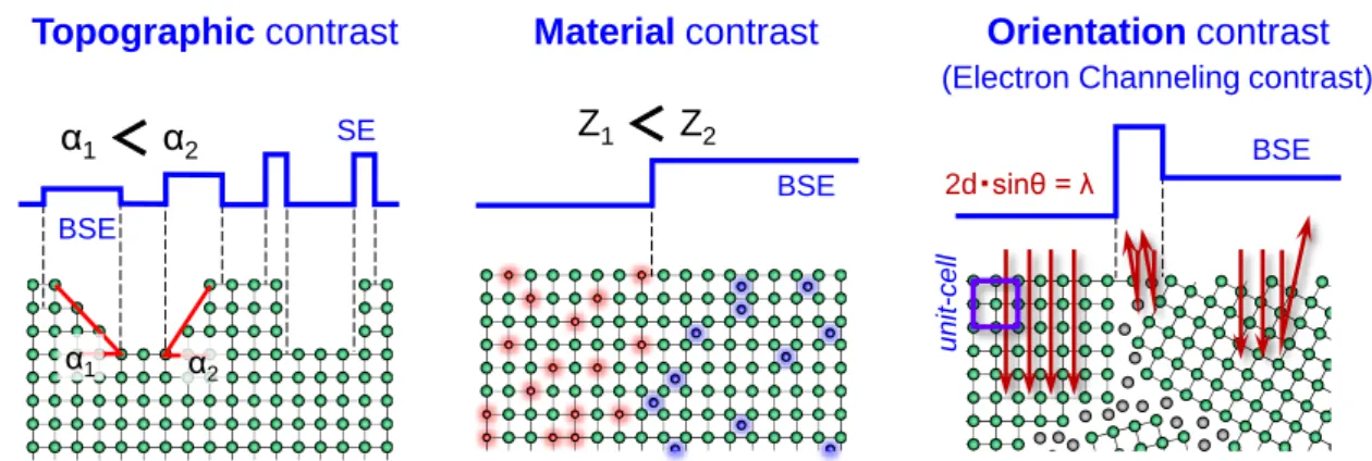 図 2-4. SEM コントラスト像から得られる主要な情報 