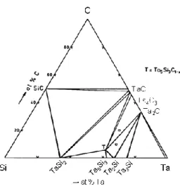 図 4-5. 1000℃等温環境における Ta-Si-C 三元系の相図  [13] 