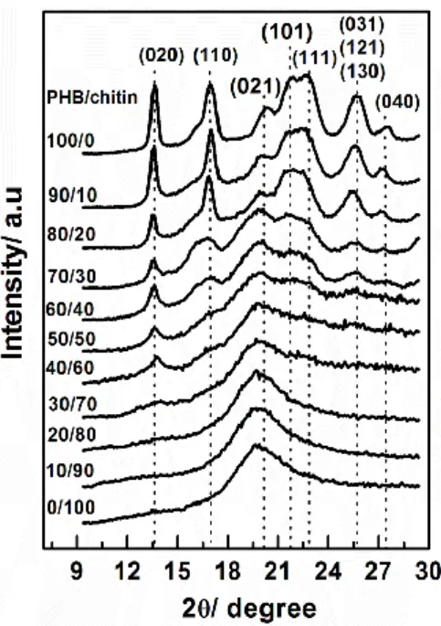 Figure 3. X-ray diffraction profiles of PHB/chitin blends with different ratios collected  at room temperature
