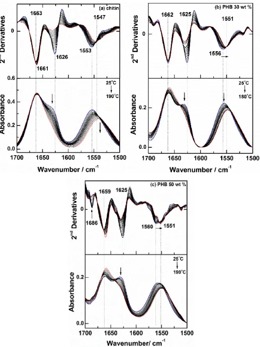 Figure 8. Temperature-dependent IR spectra (bottom) and their second derivatives (top)  in the 1700-1500 cm -1  region of (a) chitin, (b) PHB 30 wt % and (c) PHB 50 wt %
