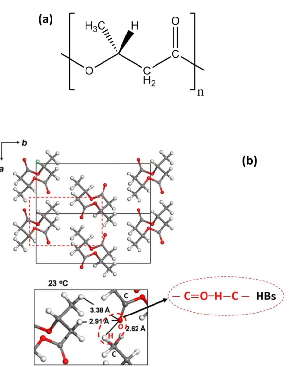 Figure 1. The chemical structure of PHB (a) and the α-form crystal structure of PHB with HBs (b)  ((b)  is  reproduced  from  ref  29  with  permission