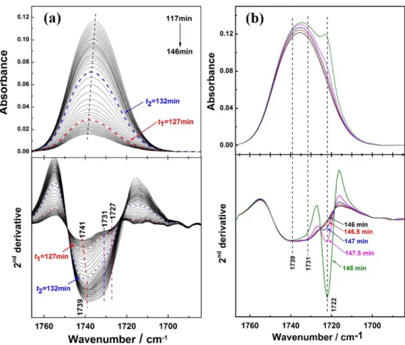 Figure 1-6: ATR-FTIR spectra (top panels) and their second derivatives spectra (bottom panels)  in the C=O stretching band region of PHB during 117-146 min (a) and 146-148 min  (b)