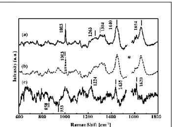 Fig. 3-3 Raman spectrum of NADH in the tumor model  tissue shown active place and (b) is from NADH  non-active place in fig.2