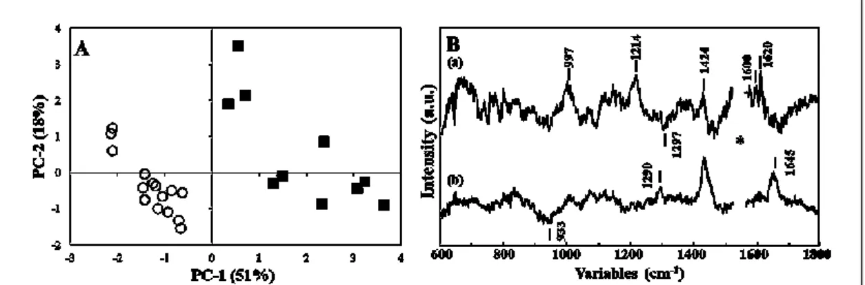 Fig.  3-4  depicts  the  PCA  score  plot  (A)  and  loading  plots  of  PCs.  PCA  was  applied to the datasets of NADH active and non-active sites