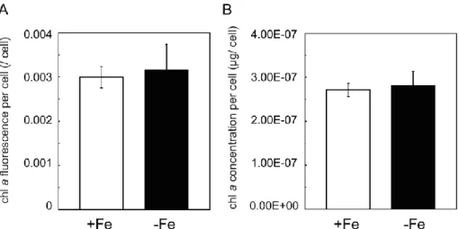 Figure 2-12 Chlorophyll a fluorescence and concentration per cell in T. pseudonana  grown in +Fe and –Fe for 6 days