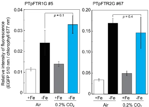 Figure 2-16 CO 2  responses of PTpFTR1G#5 or PTpFTR2G#67. 