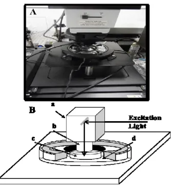 Fig.  1  Photograph  (A)  and  scheme  (B)  of  the  sampling  stage  of  Raman  microscope