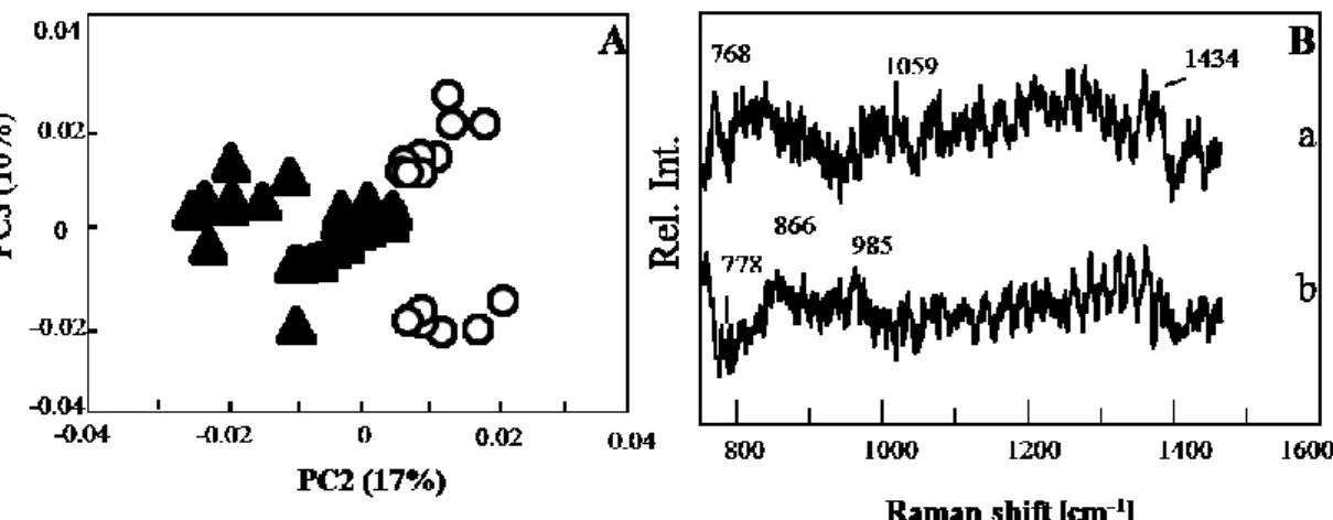 Fig.  6  Score  plot  (A)  and  loading  plot  (B)  of  PCA  model  constructed  for  the  dataset  collected 24 h after virus addition
