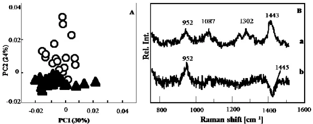 Fig. 7 Score plot (A) and loading plot (B) of PCA model constructed for the dataset  collected 48 h after virus addition