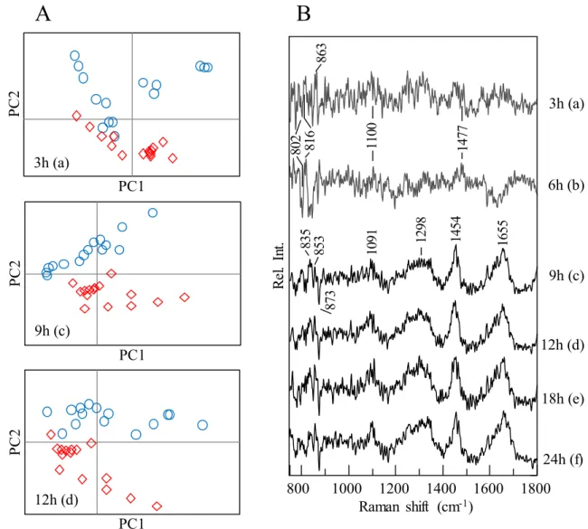 Figure  3  shows  PCA  analysis  results  for  the  datasets  obtained  in  the  time-lapse  analysis  of  AdC-infected  and  control  cells