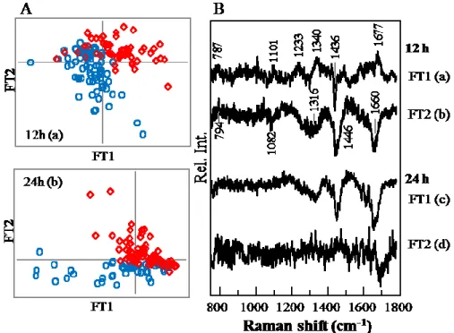 Fig. 4 PLSR-DA results obtained for control cells (○) and AdC virus-infected cells (⋄)