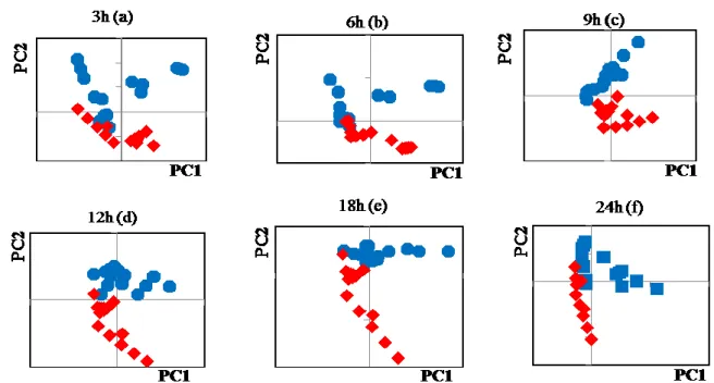 Fig. 5 The PCA score plots for PC1 and PC2 for the datasets of control cells (blue, circle)  and AdC virus infected cells (red, diamond), recorded at (a) 3 h, (b) 6 h, (c) 9 h, (d) 12 h,  (e) 18 h, and (f) 24 h after addition of the virus