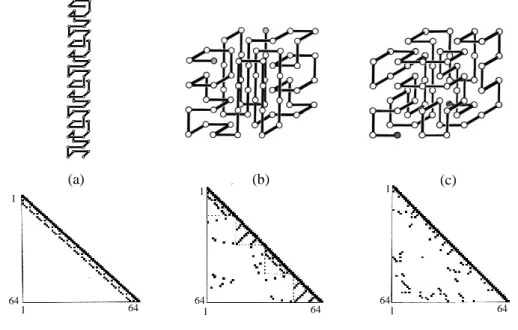 Figure 5. Three-dimensional structures of island-model proteins; (a) cylindrical helix, (b) / protein, (c)  R-1 protein