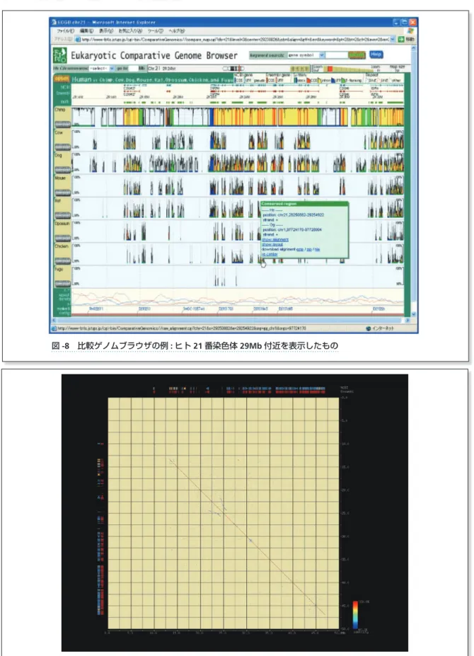 図 -8　比較ゲノムブラウザの例 : ヒト 21 番染色体 29Mb 付近を表示したもの