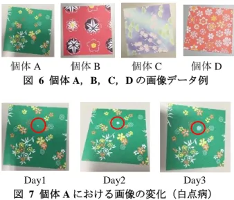 図  7  個体 A における画像の変化（白点病）  本実験では，個体 A～個体 D の画像データを対象 として，次の 3 つの場合において，画像データある いは画像データ集合間の類似度の差分により外観変 化の検知が可能であるかを比較・考察する．なお， 画像データからの特徴抽出のために，色の空間配置 に基づく単純なイメージを特徴のタイプとして bag  of features  を作成した．    提案方式:  4 章で示した提案方式に従って画像 データ集合間の類似度スコアを算出する． 