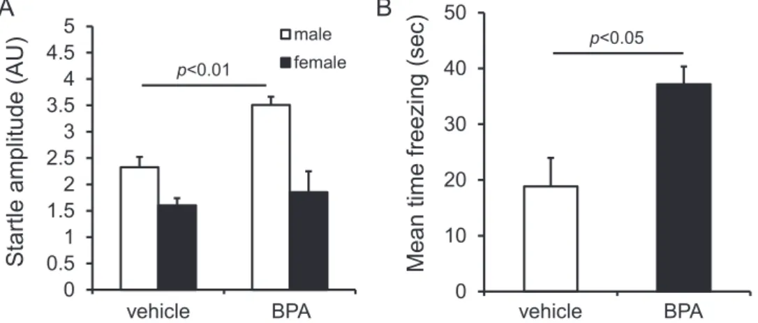 Figure 3    Mean body weight of vehicle- and BPA-exposed mouse pups on PD18 (A), and at 8 weeks of age (B)