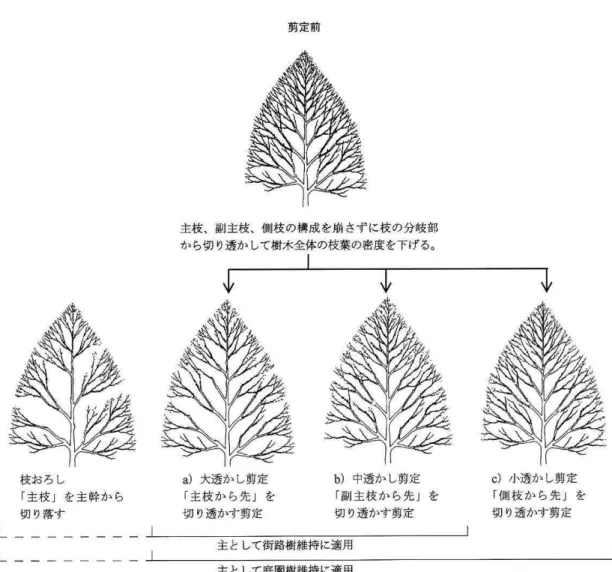 図 1 - 6   枝 透 か し 剪 定  