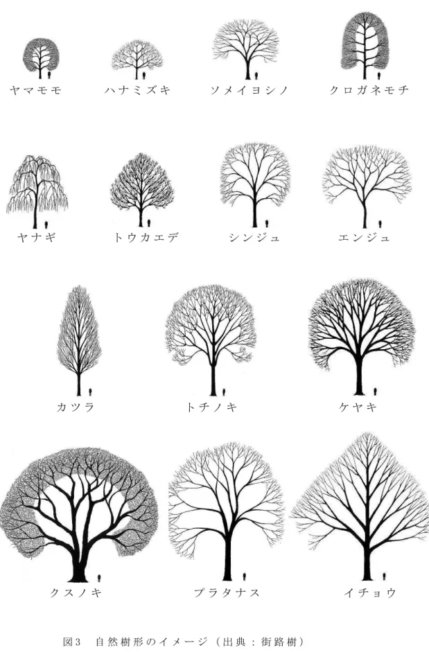 図 3   自 然 樹 形 の イ メ ー ジ （ 出 典 ： 街 路 樹 ）   エ ン ジ ュ  シ ン ジ ュヤ ナ ギ  ト ウ カ エ デソ メ イ ヨ シ ノハ ナ ミ ズ キヤ マ モ モ   ク ロ ガ ネ モ チケ ヤ キ  カ ツ ラ  ト チ ノ キイ チ ョ ウプ ラ タ ナ スク ス ノ キ
