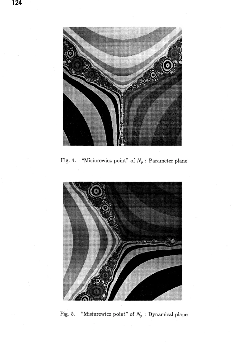 Fig. 4. “Misiurewicz point” of $N_{p}$ : Parameter plane