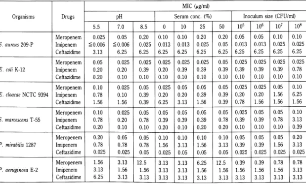 Table  6.  Influence  of  pH,  horse  serum  and  inoculum  size  on  the  antibacterial  activity  of  meropenem