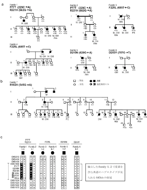 図 2 JME 家系に見いだされた EFHC1 遺伝子変異（ a. JME 患者のみでみられた変 異 ; P77T, R221H, F229L, D210N, D253Y