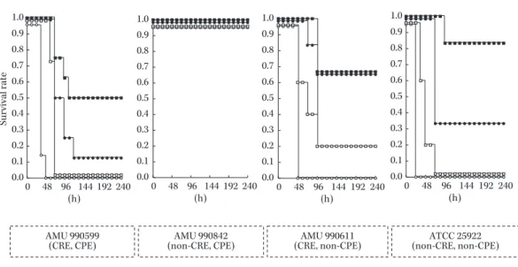 Fig.　6.　E.  coli によるマウス大腿部感染モデルにおける，MEPM（200 mg/kg/q8h）と AMK（7.5 mg/kg/