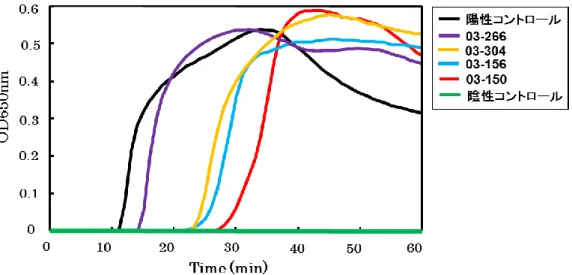 Figure 1-3  EHEC 汚染検体を用いた stx-LAMP の評価（LA-200）． 
