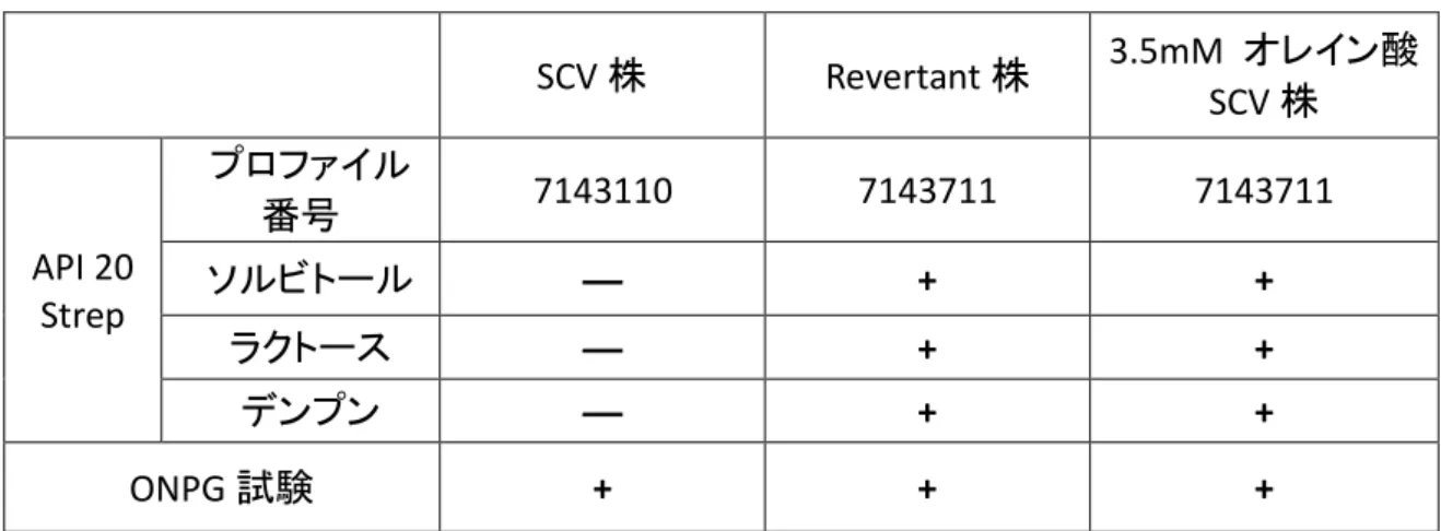 図 5    SCV 株および Revertant 株における ONPG 試験