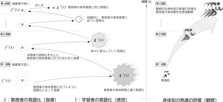 図 3: 指導の段階モデル (X, Y, f, g) と，身体知の熟達の評価（観察） 現されている．  ここで，最終的に，学習者の身体知の熟達を評価で きるのは，学習者の言語化ではなく，教授者が学習者 の身体動作を観察することにある．なぜならば，教授 者の期待と，学習者の身体知のズレが認識できる最終 手段が観察だからである．よって，言語的インタラク ションに限っても，モデルに資することが可能である ことを確認したい． 3.3 関数化の工夫 教授者と学習者の言語的インタラクションにおける ポイントは，評価関数