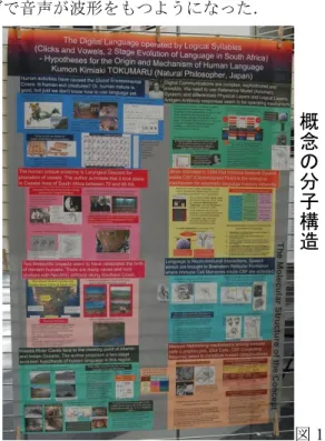 図 3 Fc リガンドと膜 FcR(Fc 受容体),  抗体不変部(Fc) 