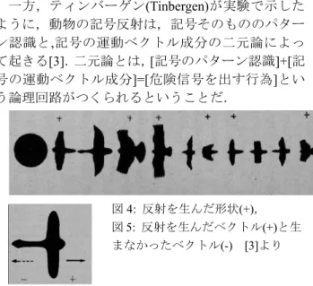 図 5:  反射を生んだベクトル(+)と生 まなかったベクトル (-)    [3] より
