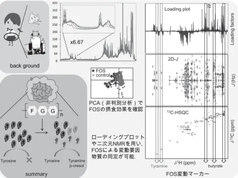 図 4 ． FOS 接食変動マーカー解析の実例．中央 1D-NMR の実線はコントロール，点線は FOS 摂食時を示している． FOS 摂食で増 減する 1 H 化学シフトをローディングプロットで追跡し， 2D-J や 13 C-HSQC を用いた物質同定を行う．