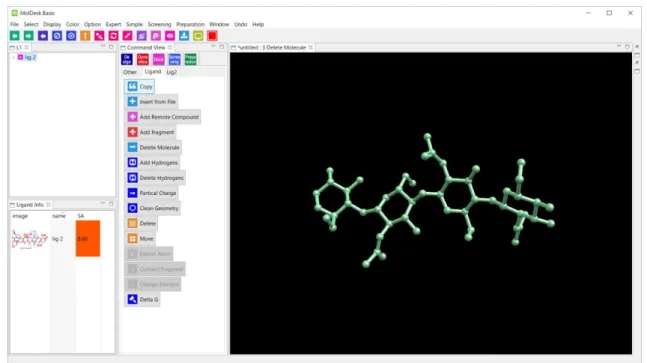 図  11  分子のコピー 