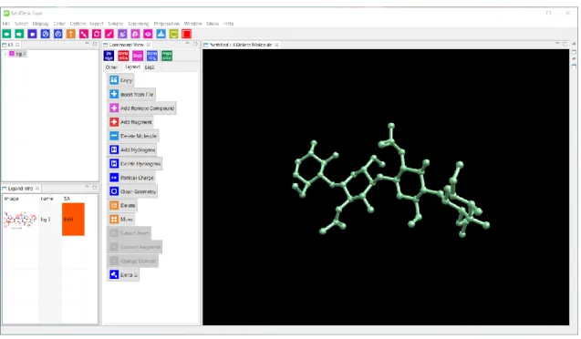 図  9  センタリング後の分子 