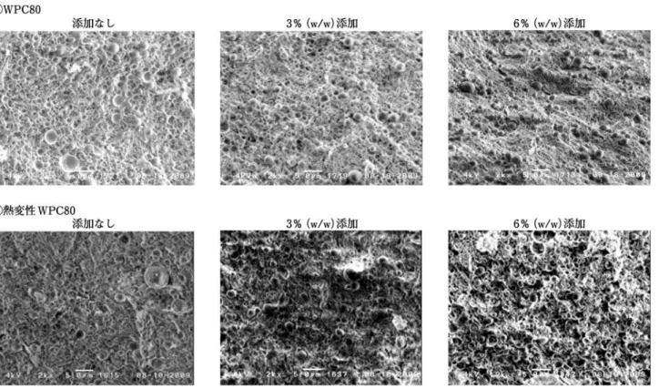 図 4 WPC80 および熱変性 WPC80 添加時のプロセスチーズ SEM 画像