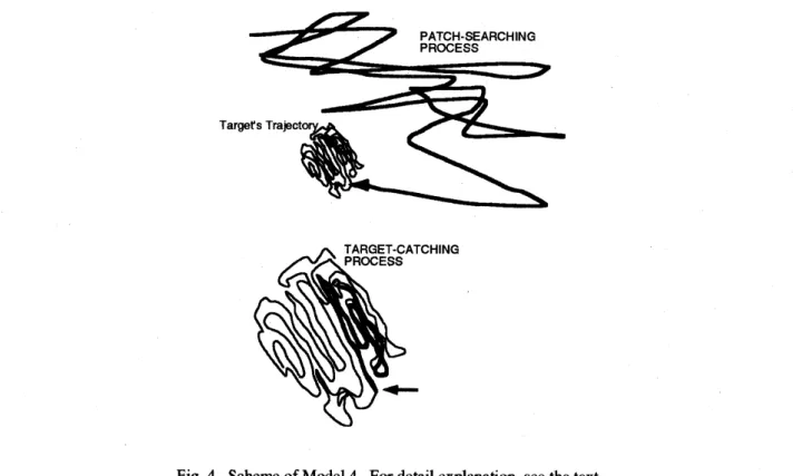 Fig. 4. Scheme of Model 4. For detail explanation, see the text.