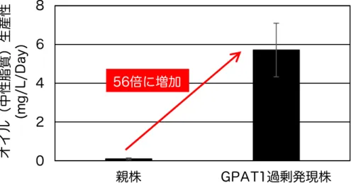 図 3.  オイル生産と細胞増殖の関係 オイルを生産させる現状の条件では、オイルは生産されるが、細胞の増 殖は阻害される。一方、本研究で作出した藻類株では、オイル生産と細 胞増殖が同時に引き起こされるため、オイル生産性の劇的な改善が達成 された。 ●背景 国連が掲げる持続可能な開発目標（ SDGs ）では、クリーンで持続可能なエネ ルギーの利用の拡大、地球温暖化への具体的なアクションを起こすことなどが盛 り込まれている。微細藻類を用いたオイル生産は、 SDGs を達成するための重要 な技術と考えられている。
