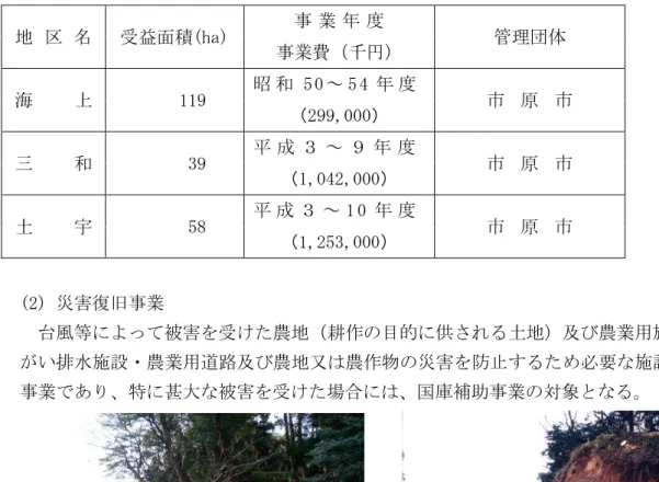 表 11  湛水防除事業 県営                                        地 区 益面積(ha)  業 管理団体  業費 千 海 119  昭 和 5 0 ～ 5 4 原 299,000   和 39  成 ～ 原 1,042,000   土 58  成 ～ 1 0 原 1,253,000   (2) 災害 旧 業  風等 よ 被害を 農地 耕作 目的 供 れる土地 農業用施設 ん い排水施設ン農業用道路 農地又 農作物 災害を防 る 必要 施設 旧 業 あり 特 甚大 