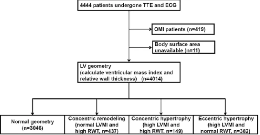 Figure 1.  Flowchart of the study population. Abbreviations: TTE = transthoracic echocardiography; 