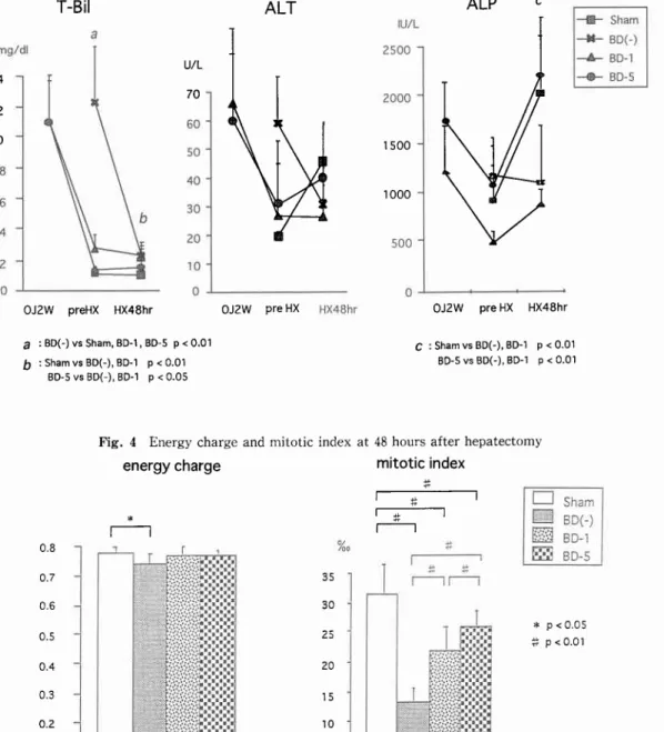 Fig.  4  Energy charge and mitotic index at 48 hours after hepatectomy