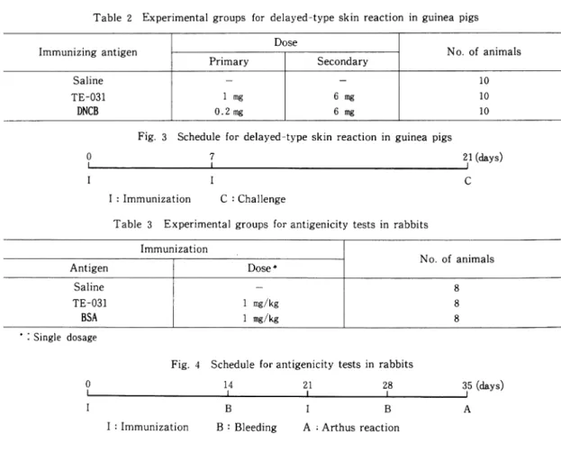 Table  2  Experimental  groups  for  delayed-type  skin  reaction  in  guinea  pigs