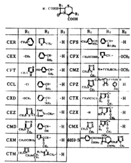 Table  3  RICHMOND  type  of  enzyme  producing gram  negative  bacilli